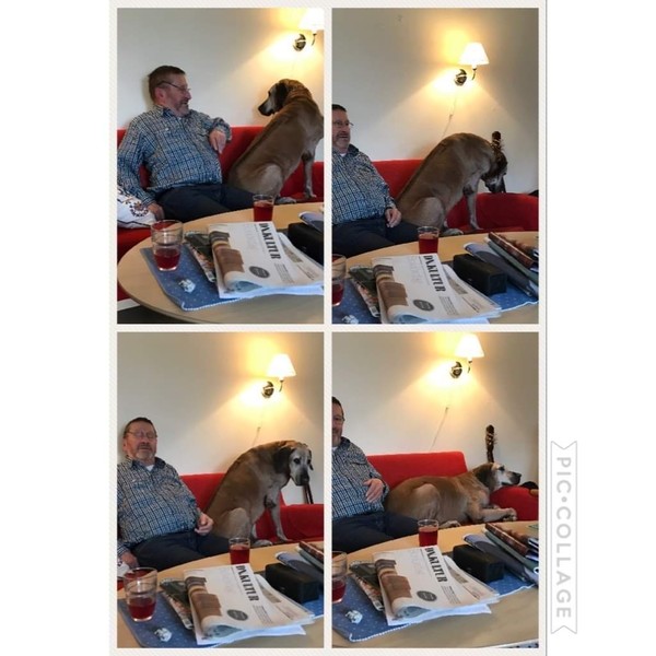 Klicka för att se förhandsgranska