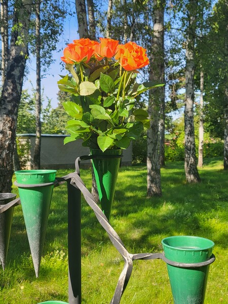 Klicka för att se förhandsgranska