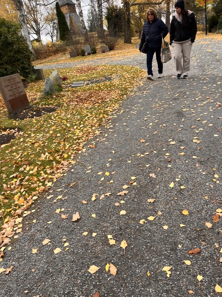 Klicka för att se förhandsgranska